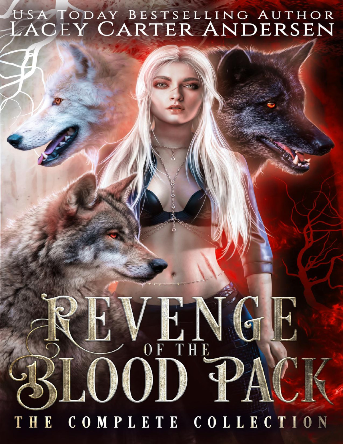 Revenge Of The Blood Pack The Complete Collection Andersen Lacey Carter