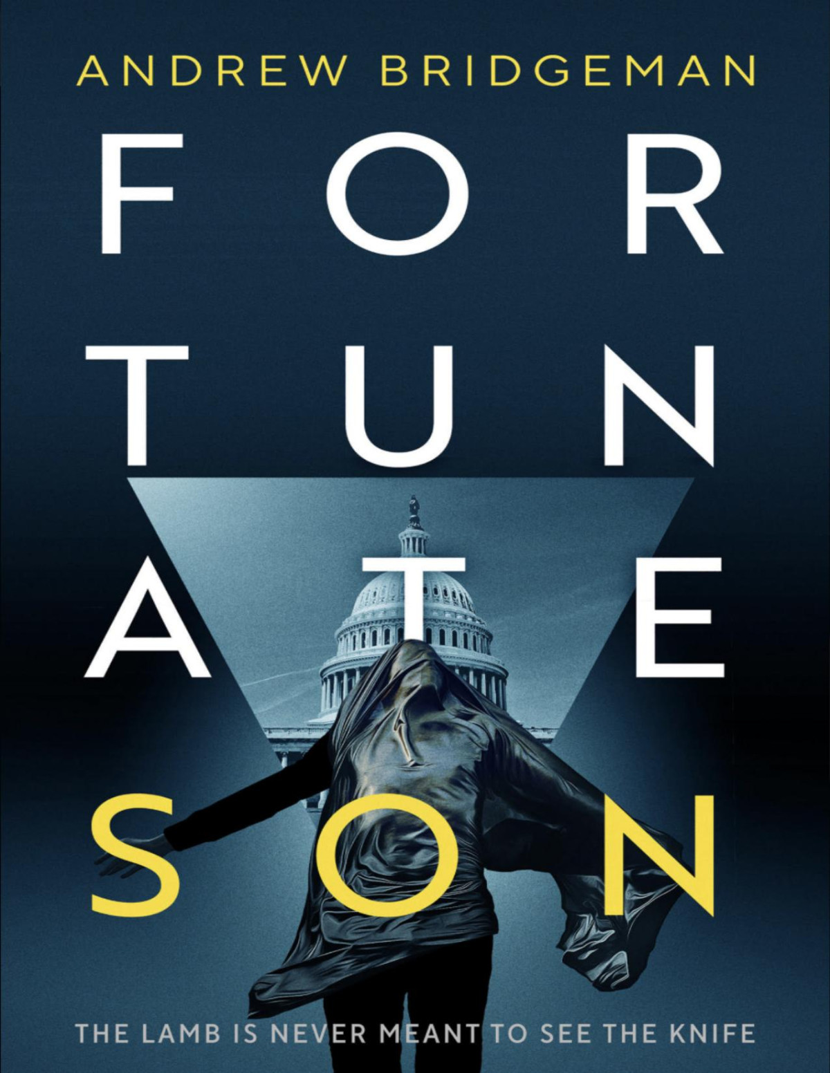 Fortunate Son A Suspenseful Psychological Thriller Bridgeman