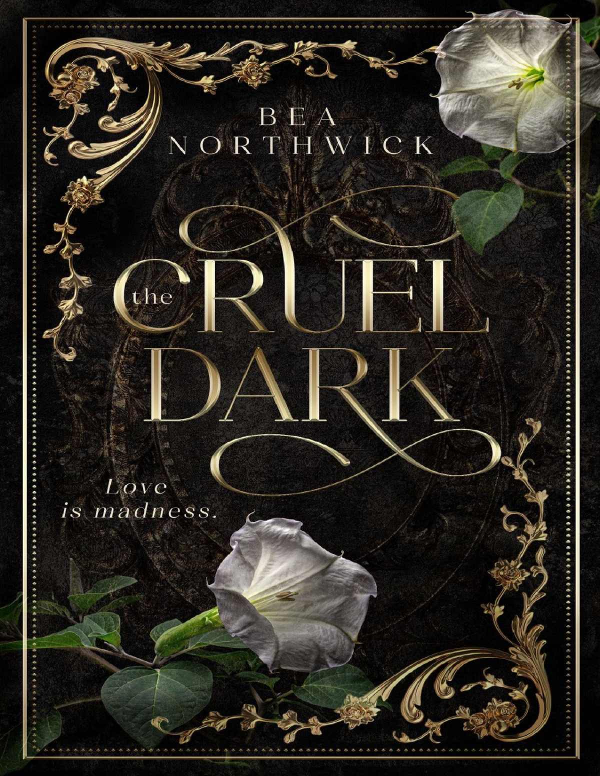 The Cruel Dark Bea Northwick