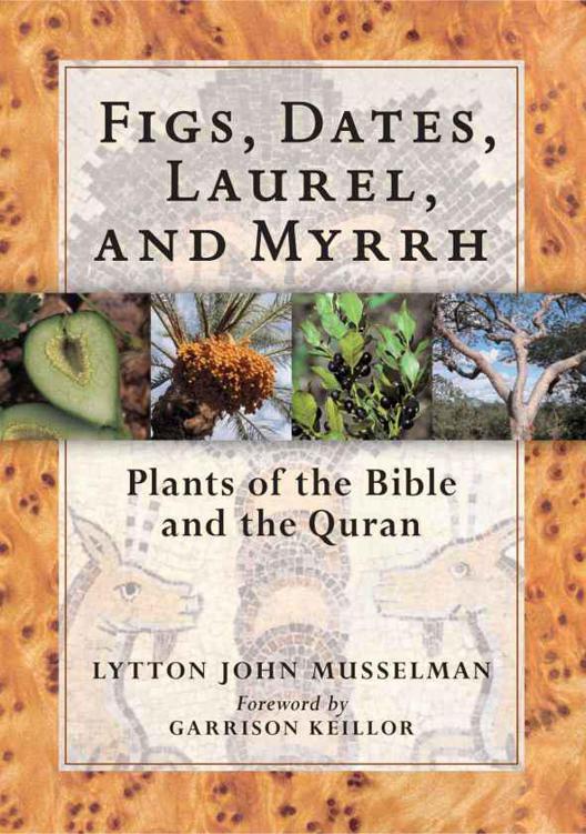 Figs Dates Laurel And Myrrh Plants Of The Bible And The Quran Lytton John Musselman