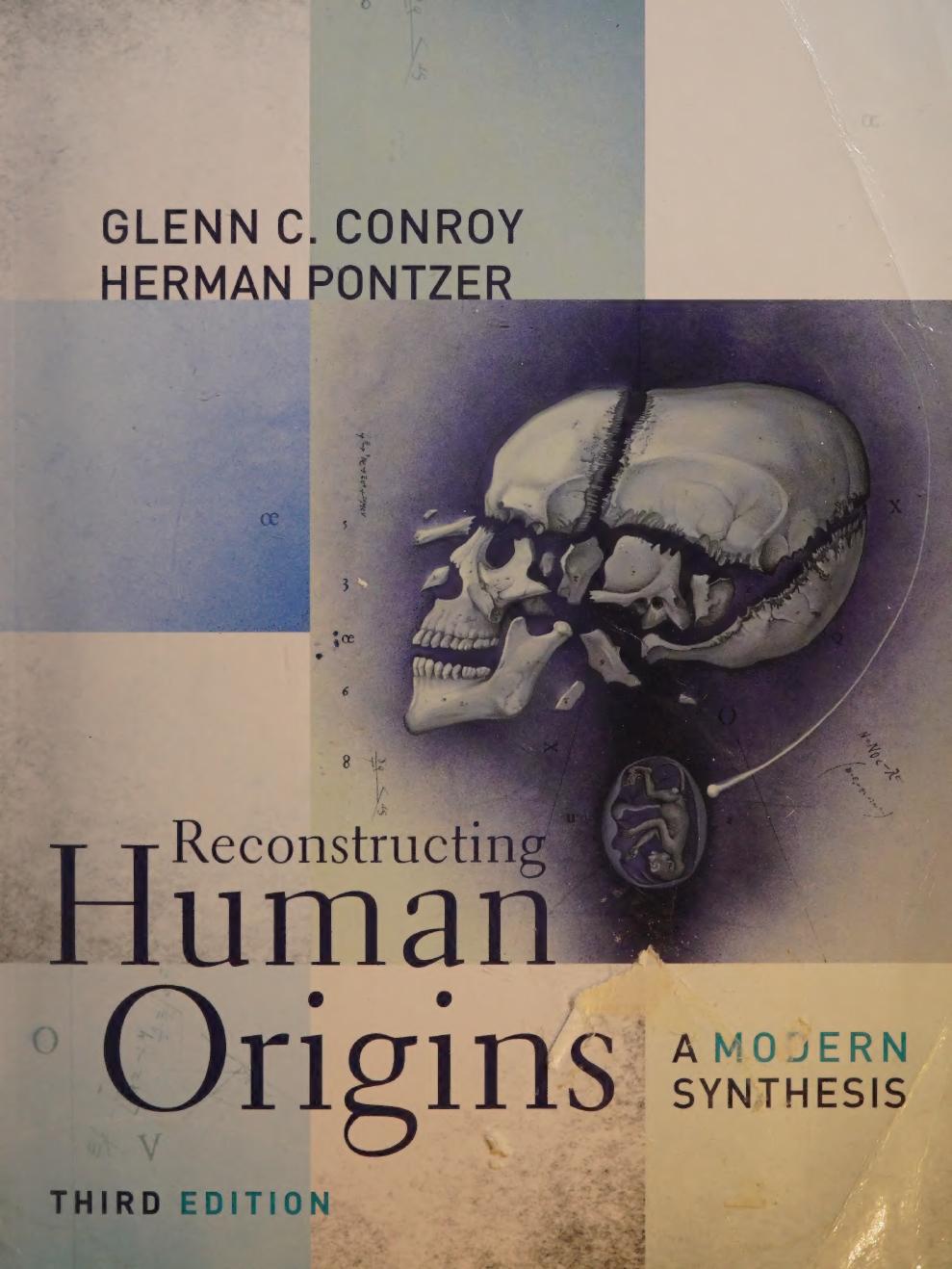 Reconstructing Human Origins A Modern Synthesis 3rd Edition Glenn C Conroy