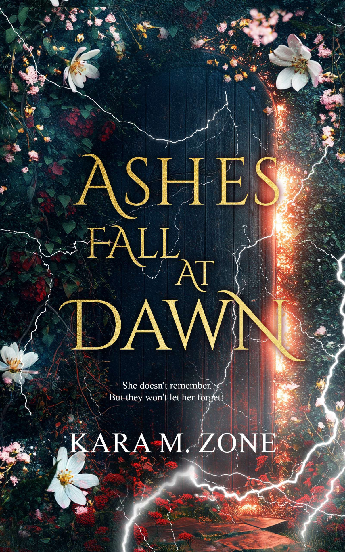 Ashes Fall At Dawn Kara M Zone