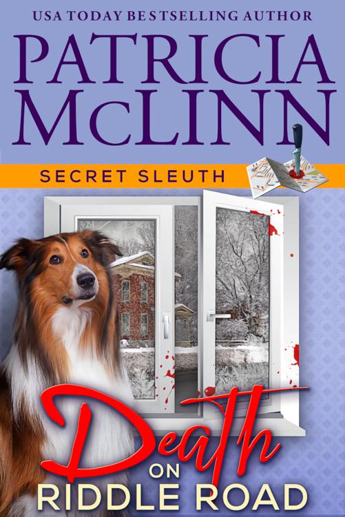 Secret Sleuth 9 Death On Riddle Road Patricia Mclinn