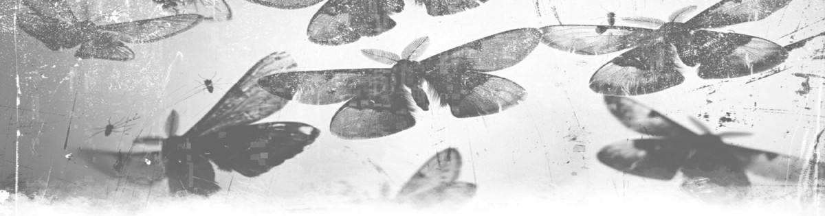 Little Doll Blackmoth House Book One Nova A Dark Gothic Spicy Romance Liza Lovegood