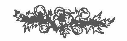 Murdered On A Wednesday Jaime Marie Lang