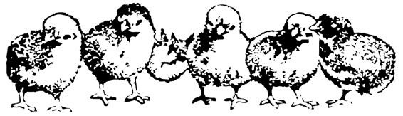 My Bear To Heal Cypress Valley Shifters Book Three Em Sauber