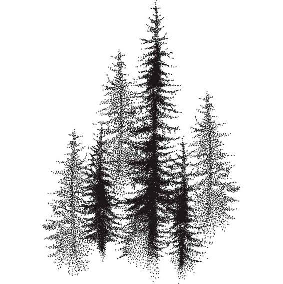 My Secret To Protect A Small Town Second Chance Protector Romance Forest Falls Book 4 Cas Lewis