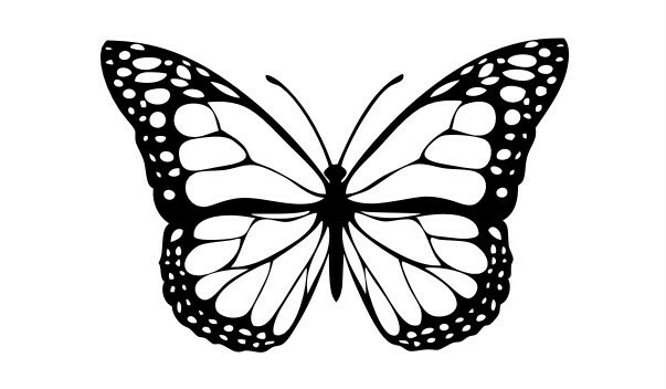 Obsessive Love The King Series Mia Sian