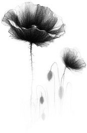 Of Withering Dreams A Dark Fantasy Romance Fate Of The Embered Book 1 Rowyn Adelaide