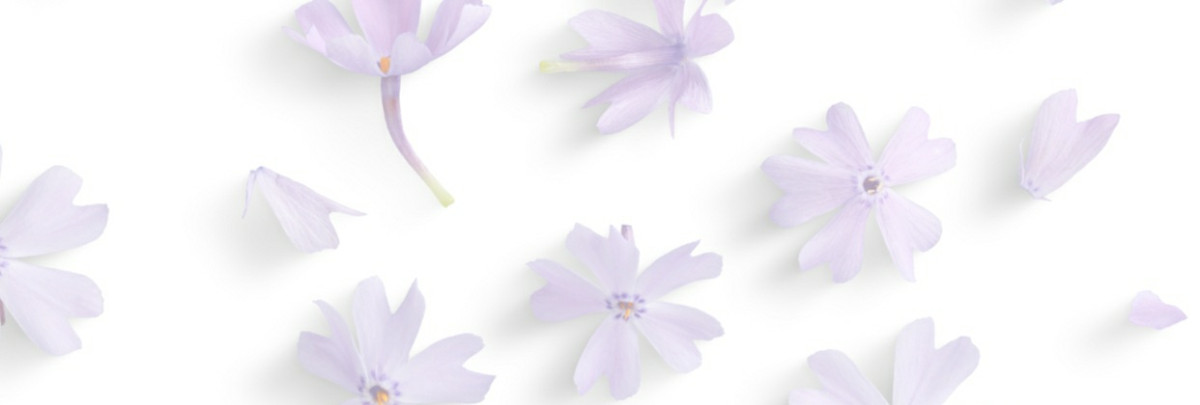 Rough Edges A Steamy Single Parents Romance Elsa Jacobs