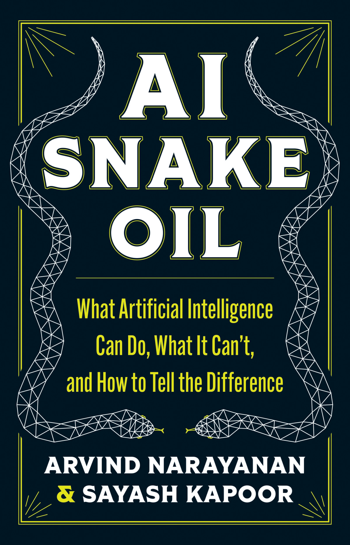 Ai Snake Oil What Artificial Intelligence Can Do What It Cant And How To Tell The Difference Arvind Narayanan
