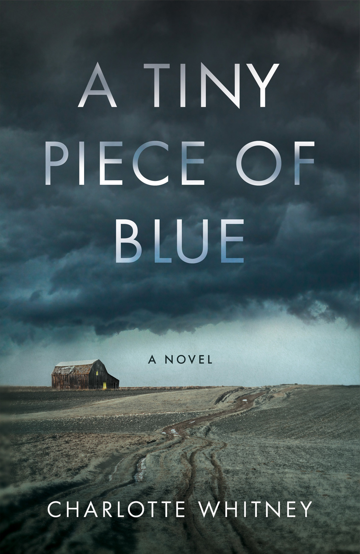 A Tiny Piece Of Blue Charlotte Whitney