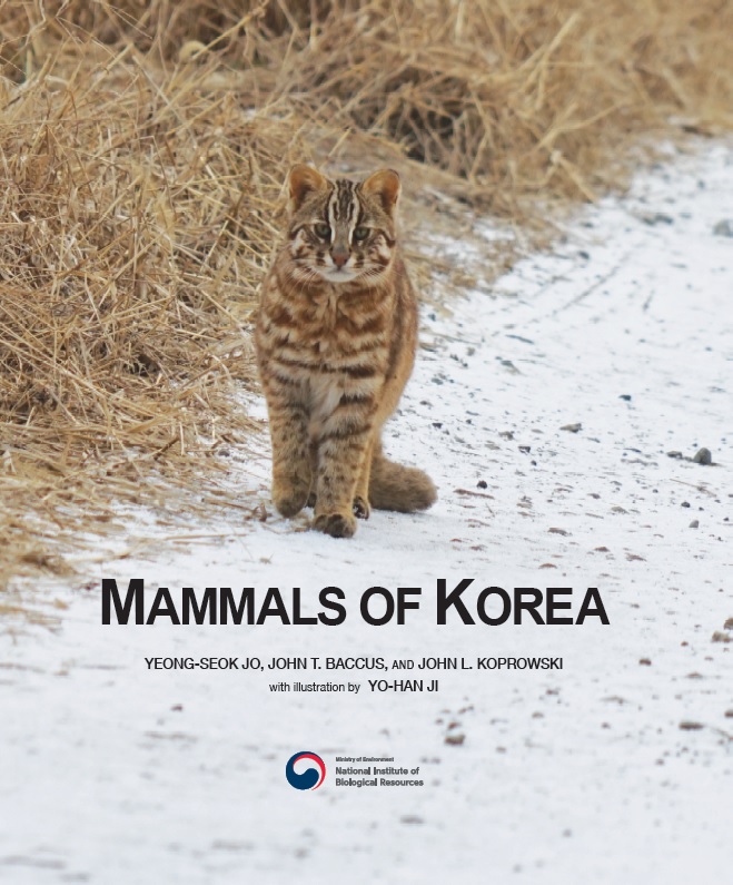 Mammals Of Korea Yeongseok Jo John T Baccus John L Koprowski