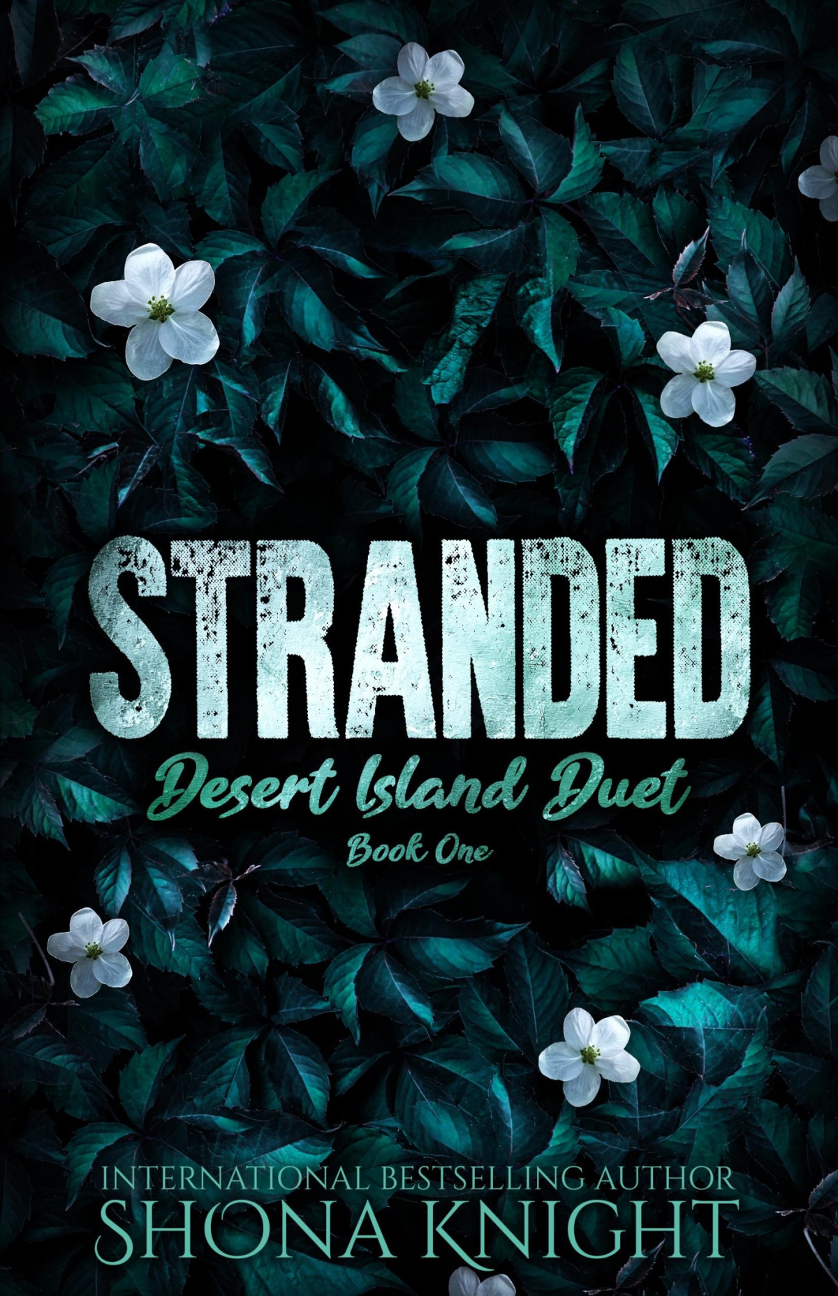 Stranded Desert Island Duet Book 1 Shona Knight