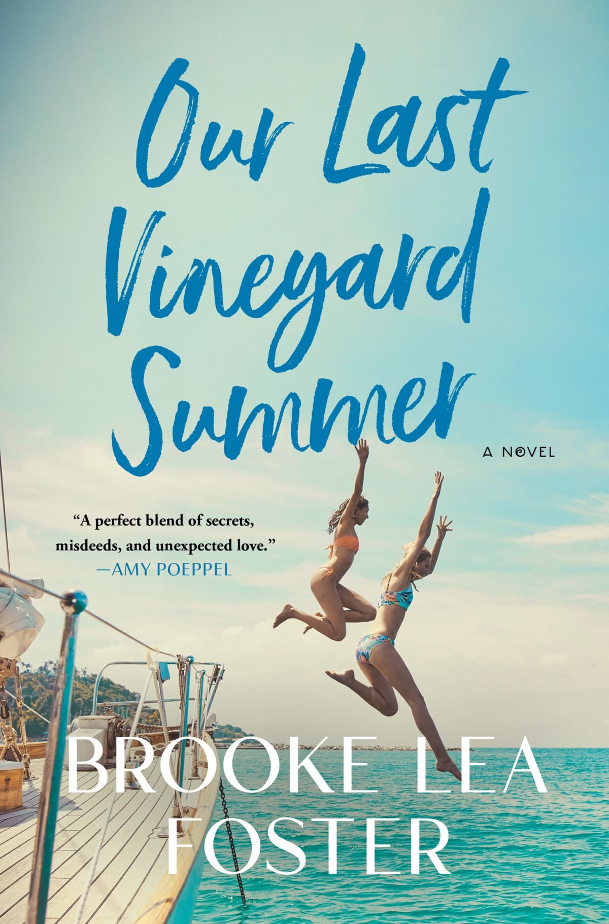 Our Last Vineyard Summer A Novel Brooke Lea Foster