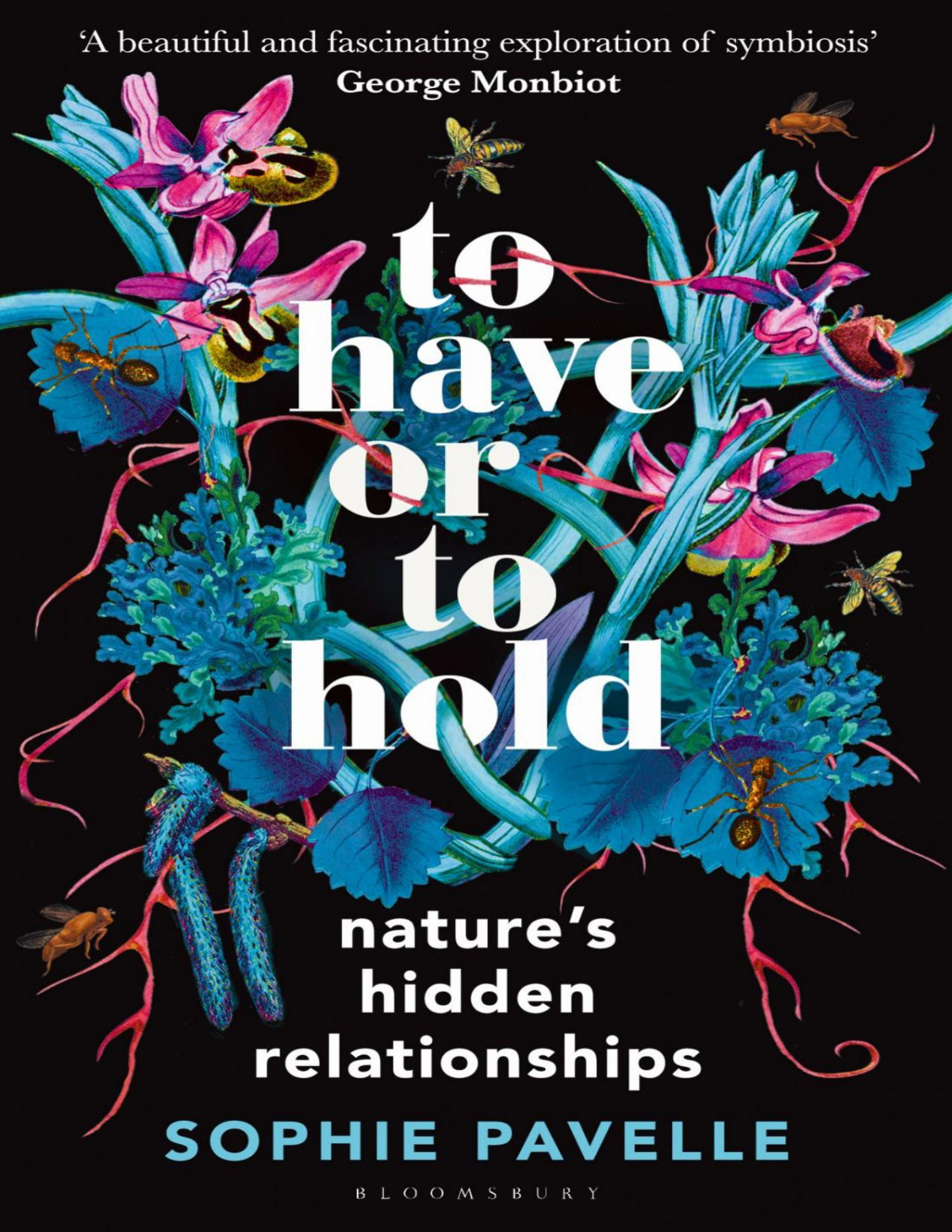 To Have Or To Hold Sophie Pavelle