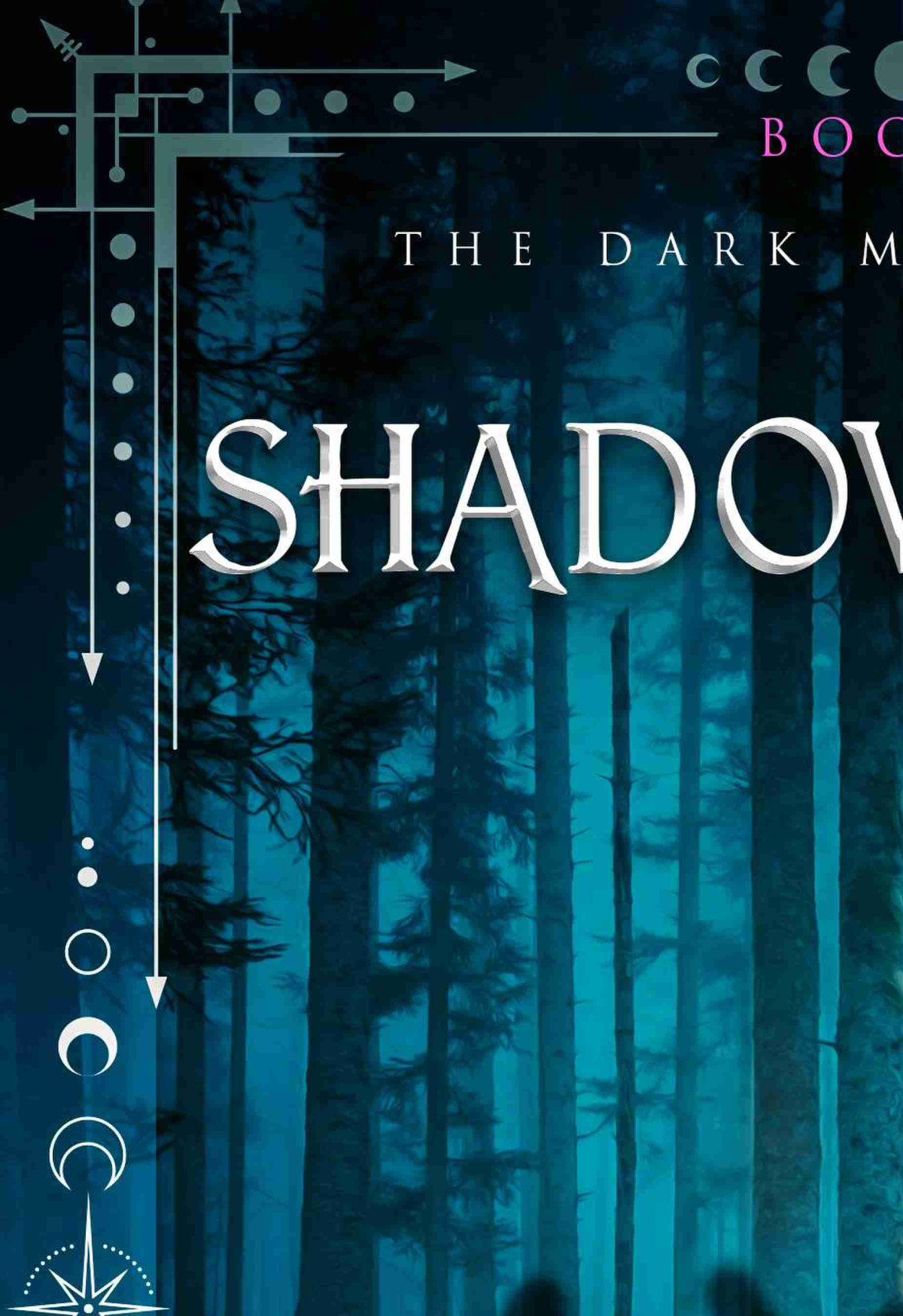 Shadowbound Nicole Holland