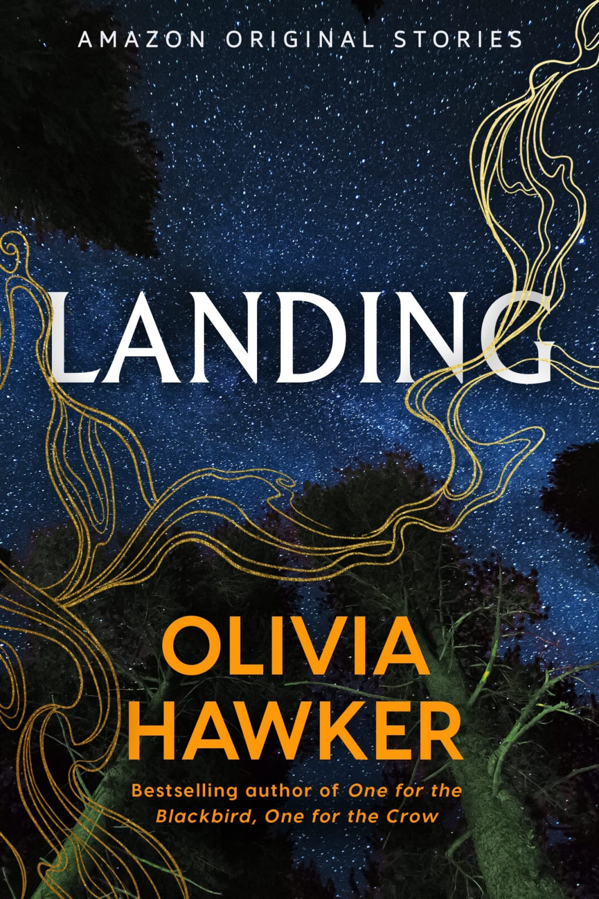 Point In Time Collection 3 Landing Olivia Hawker