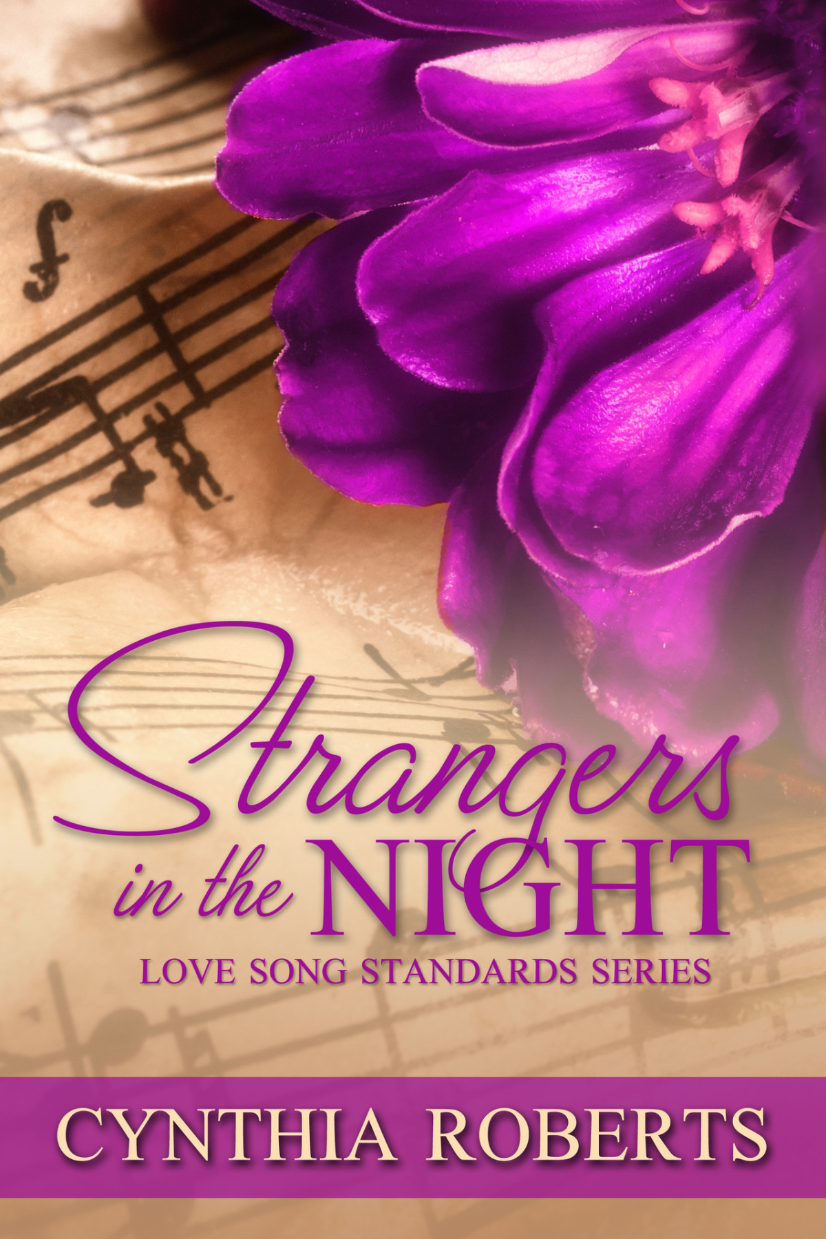 Strangers In The Night A Second Chance Love Story Love Song Standards Book 2 Roberts