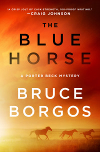 The Blue Horse Bruce Borgos