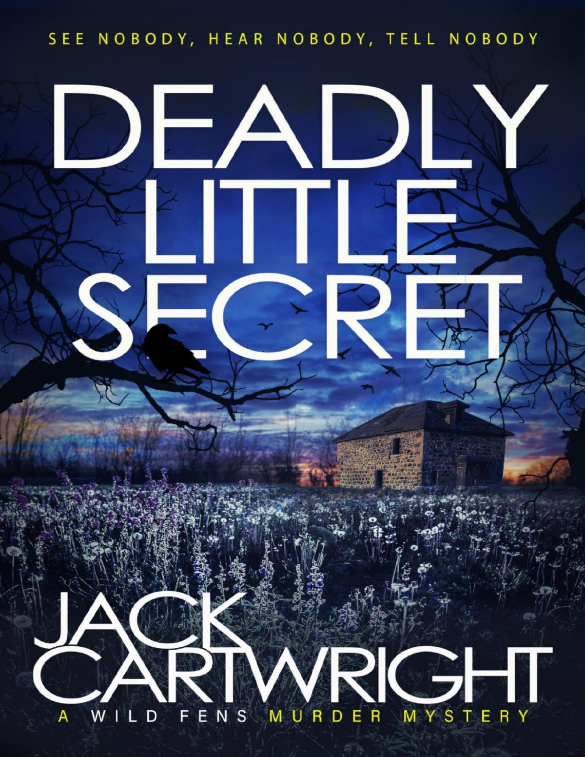 Deadly Little Secret A British Murder Mystery Jack Cartwright