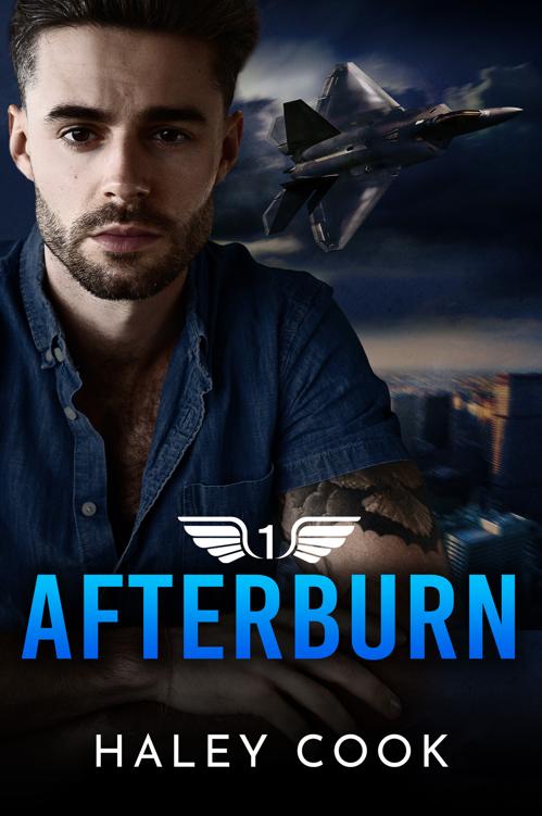Afterburn High Altitude Series High Altitude Blue Angels Book 1 Haley Cook