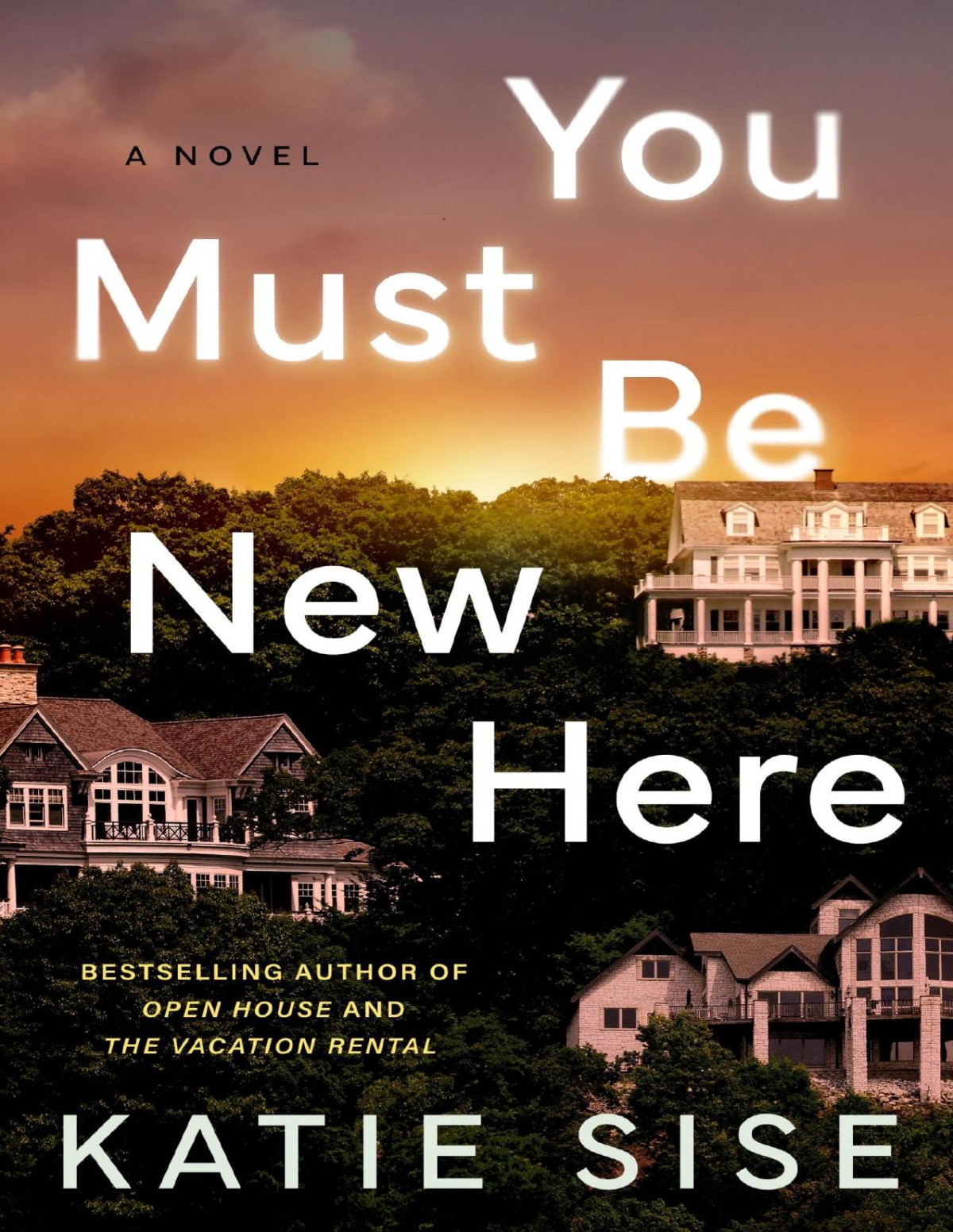 You Must Be New Here A Novel Katie Sise