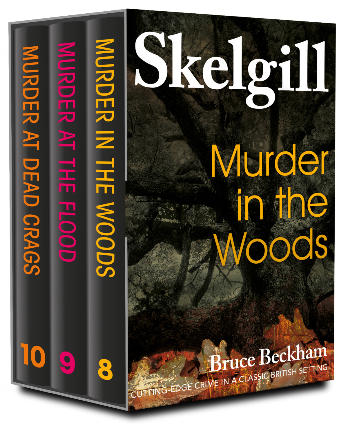 The Di Skelgill Series 03 Books 810 Bruce Beckham