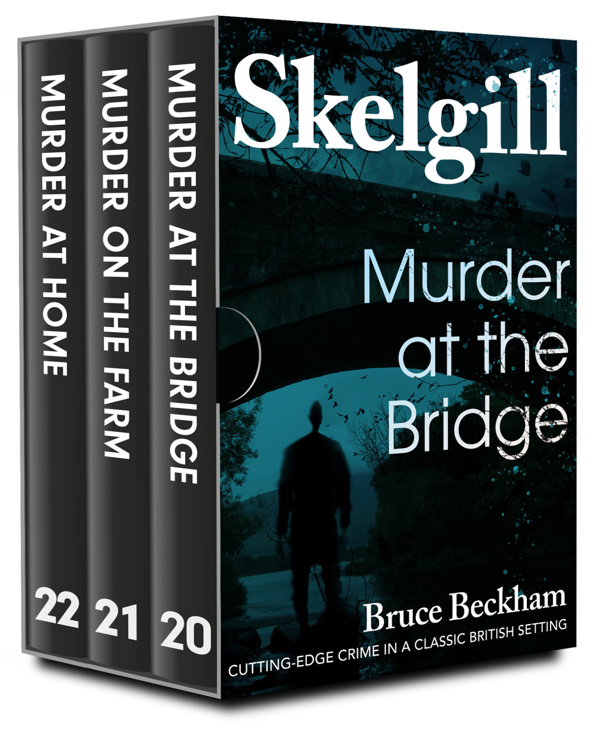 The Di Skelgill Series Books 2022 Bruce Beckham