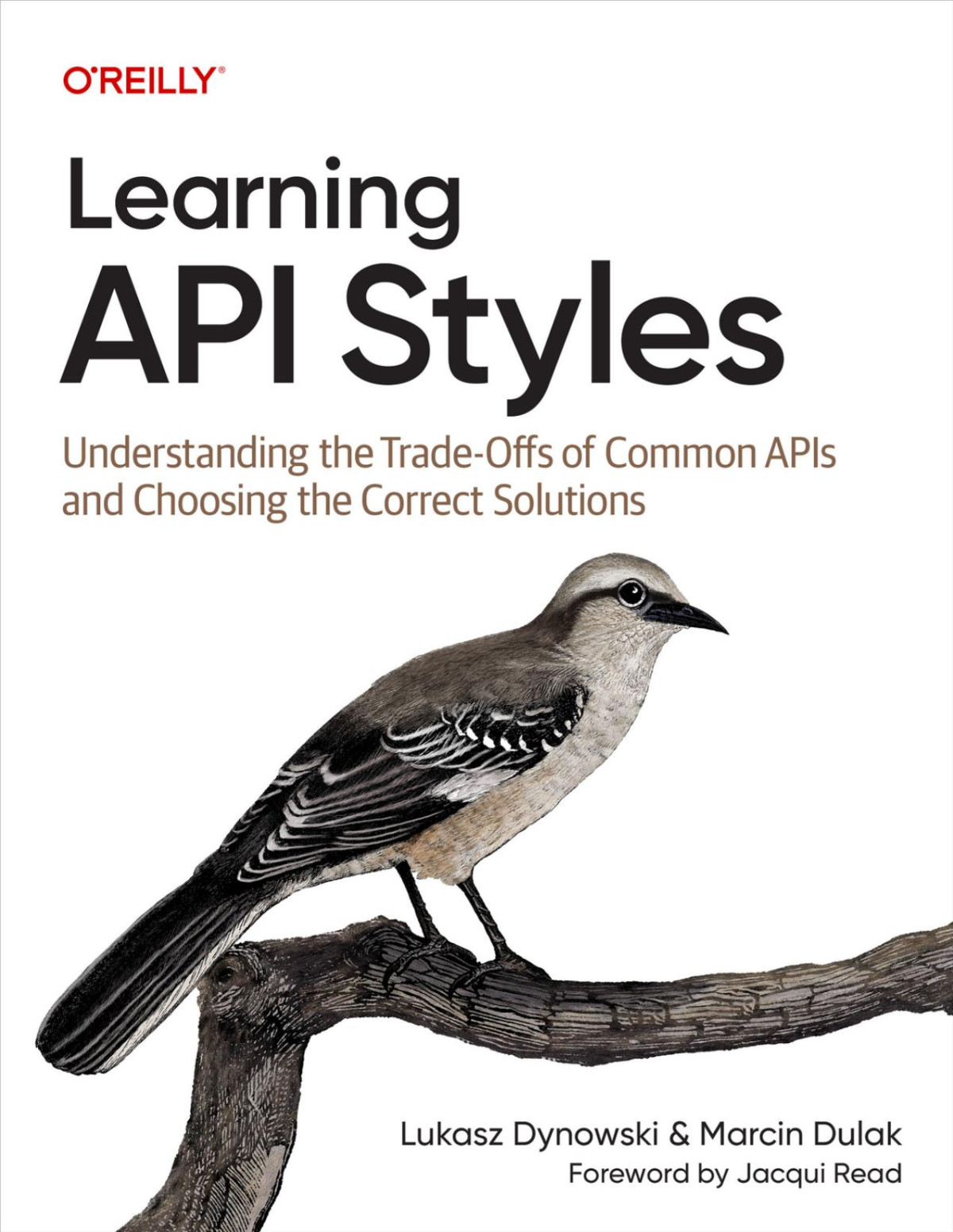 Learning Api Styles For Raymond Rhine Lukasz Dynowski Marcin Dulak