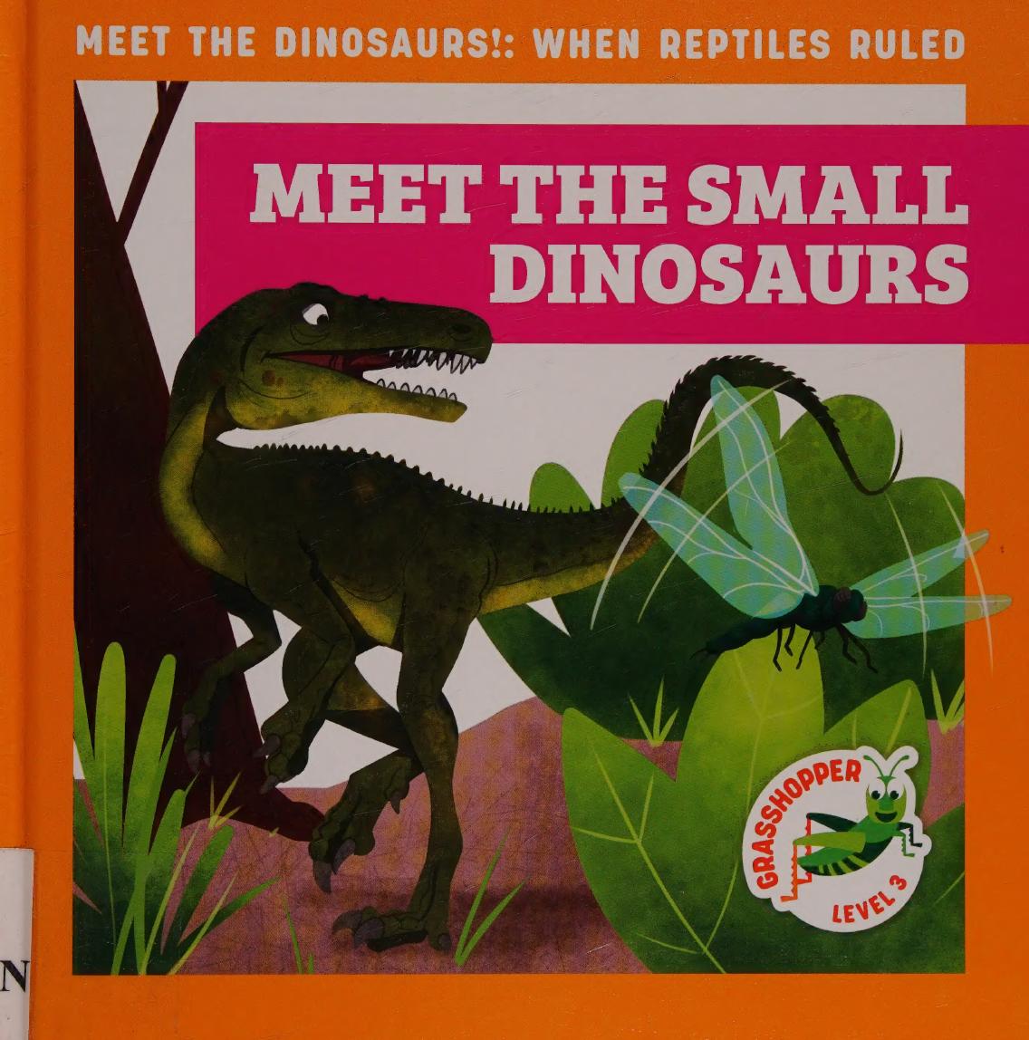 Meet The Small Dinosaurs Rebecca Donnelly