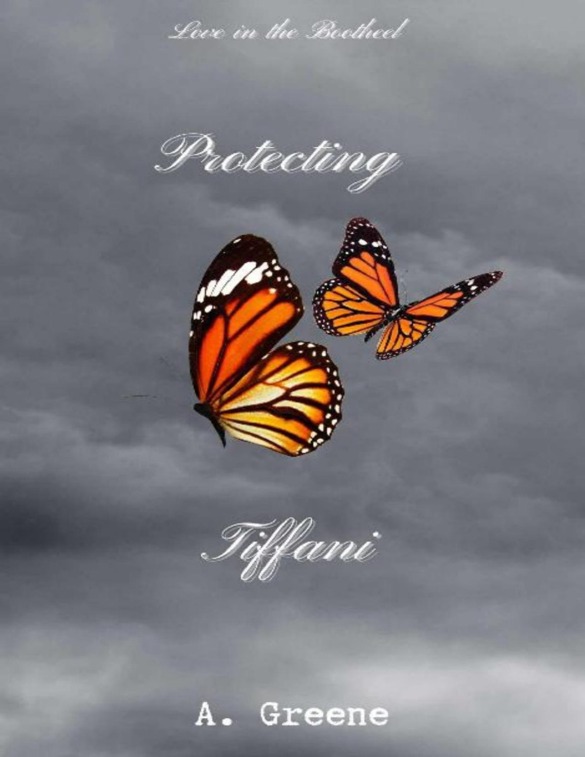 Protecting Tiffani Love In The Bootheel Series Book 1 A Greene