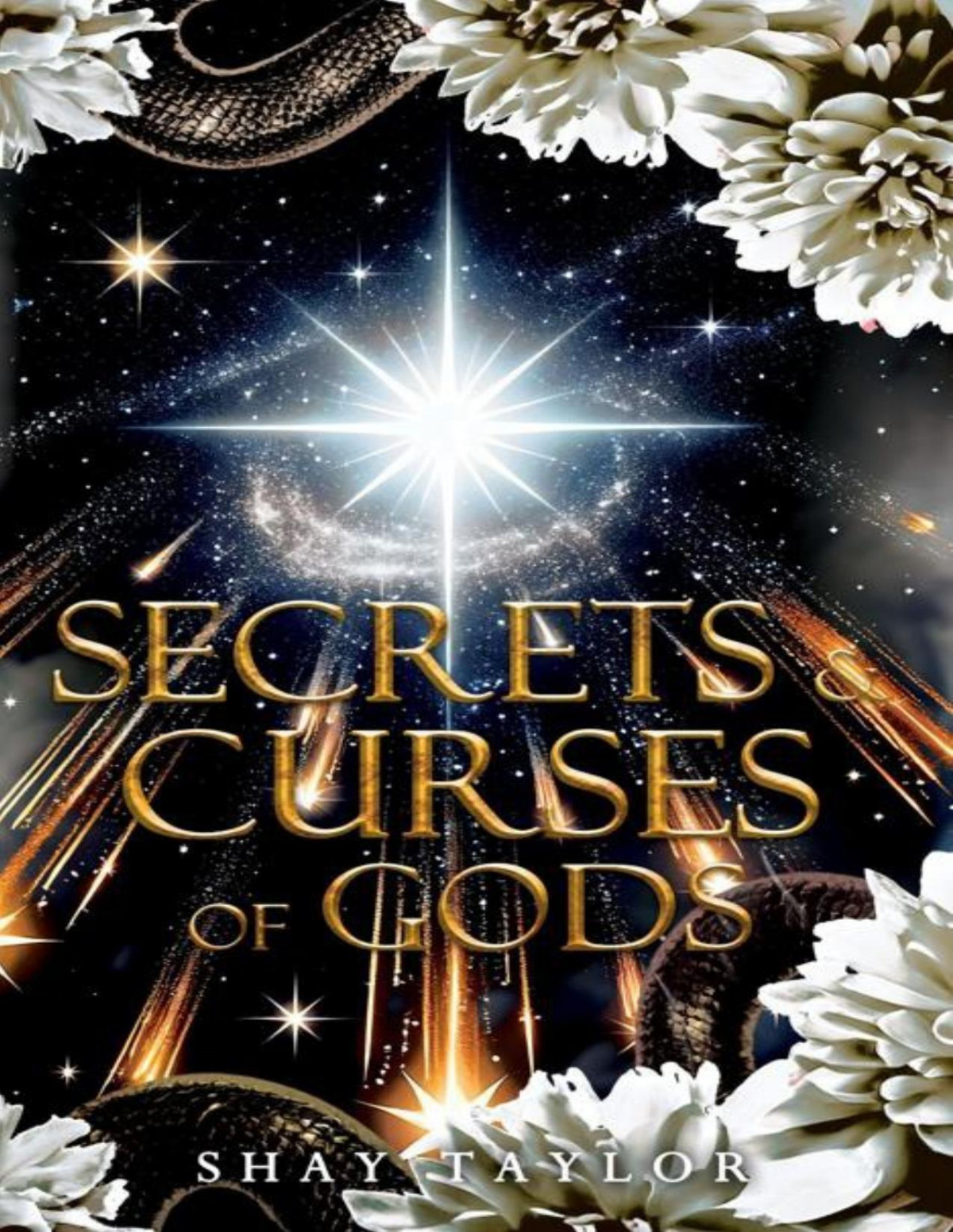 Secrets Curses Of Gods Secrets Curses Series Book 5 Shay Taylor