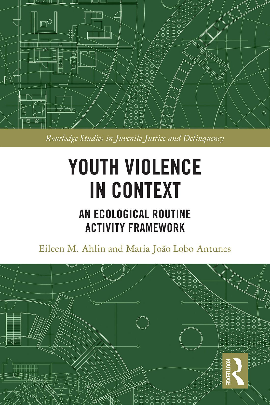 Youth Violence In Context Eileen M Ahlin And Maria João Lobo Antunes