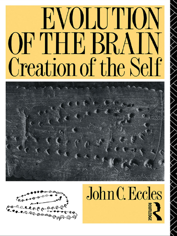 Evolution Of The Brain Creation Of The Self John Ceccles