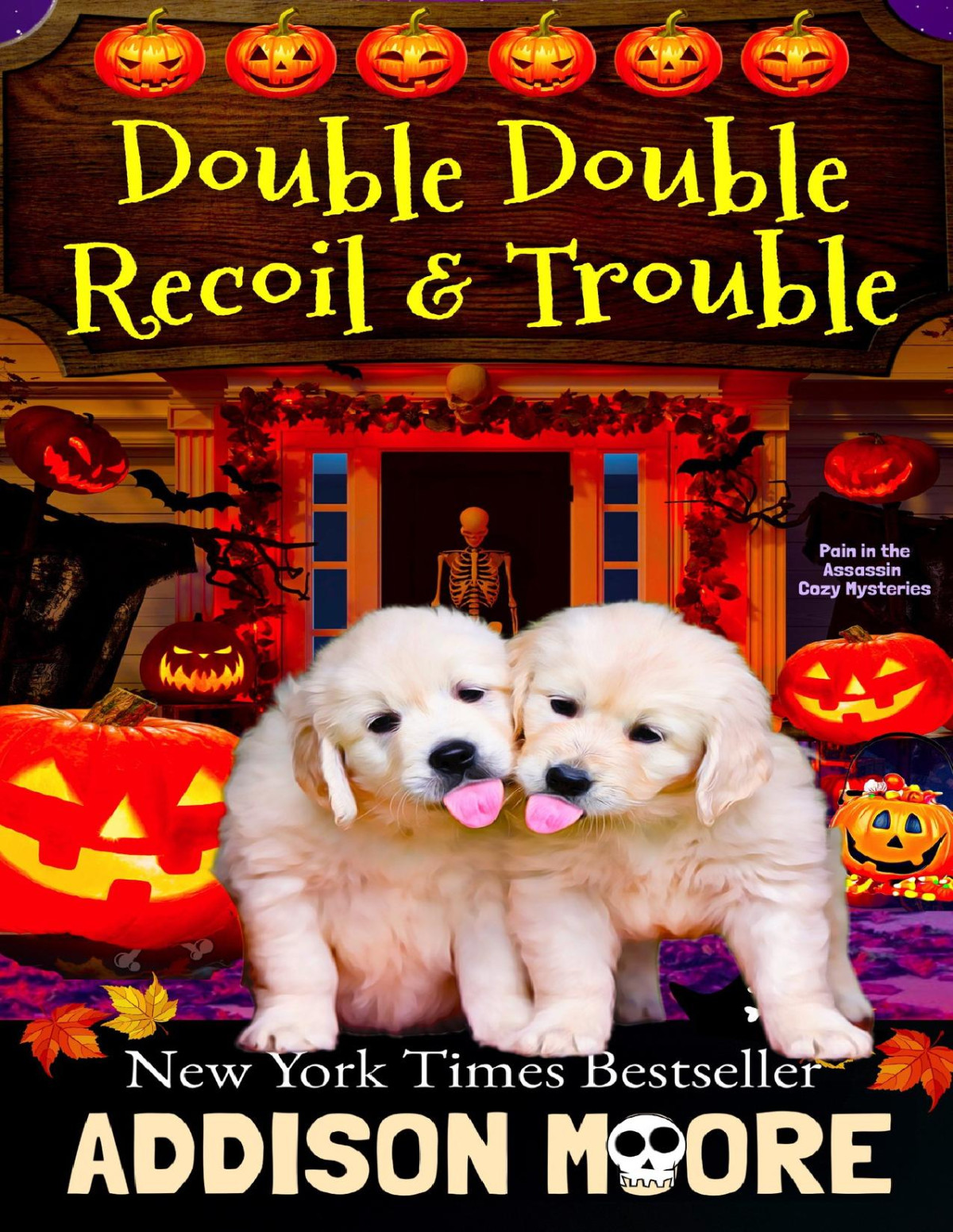 Double Double Recoil And Trouble Pain In The Assassin Cozy Mysteries Book 2 Addison Moore