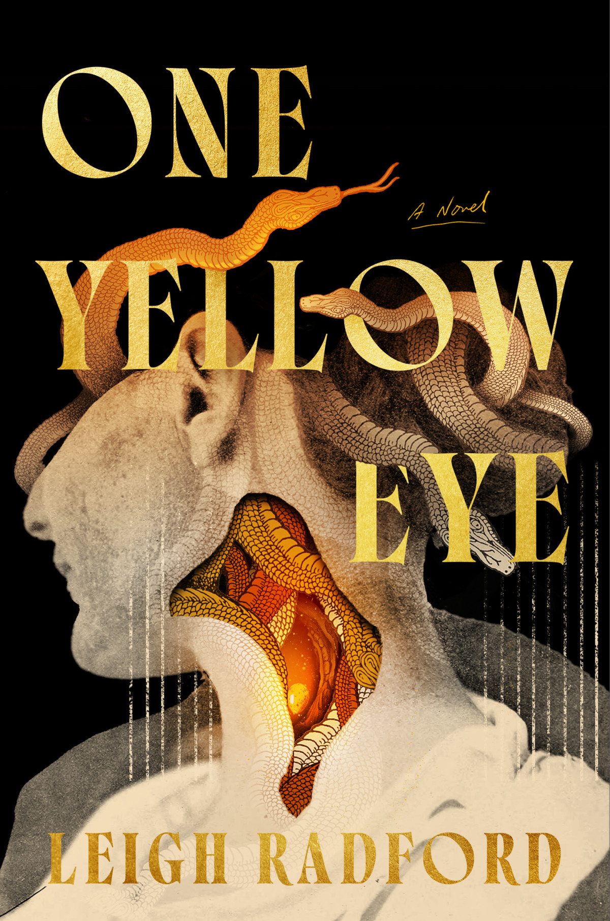 One Yellow Eye A Novel Leigh Radford