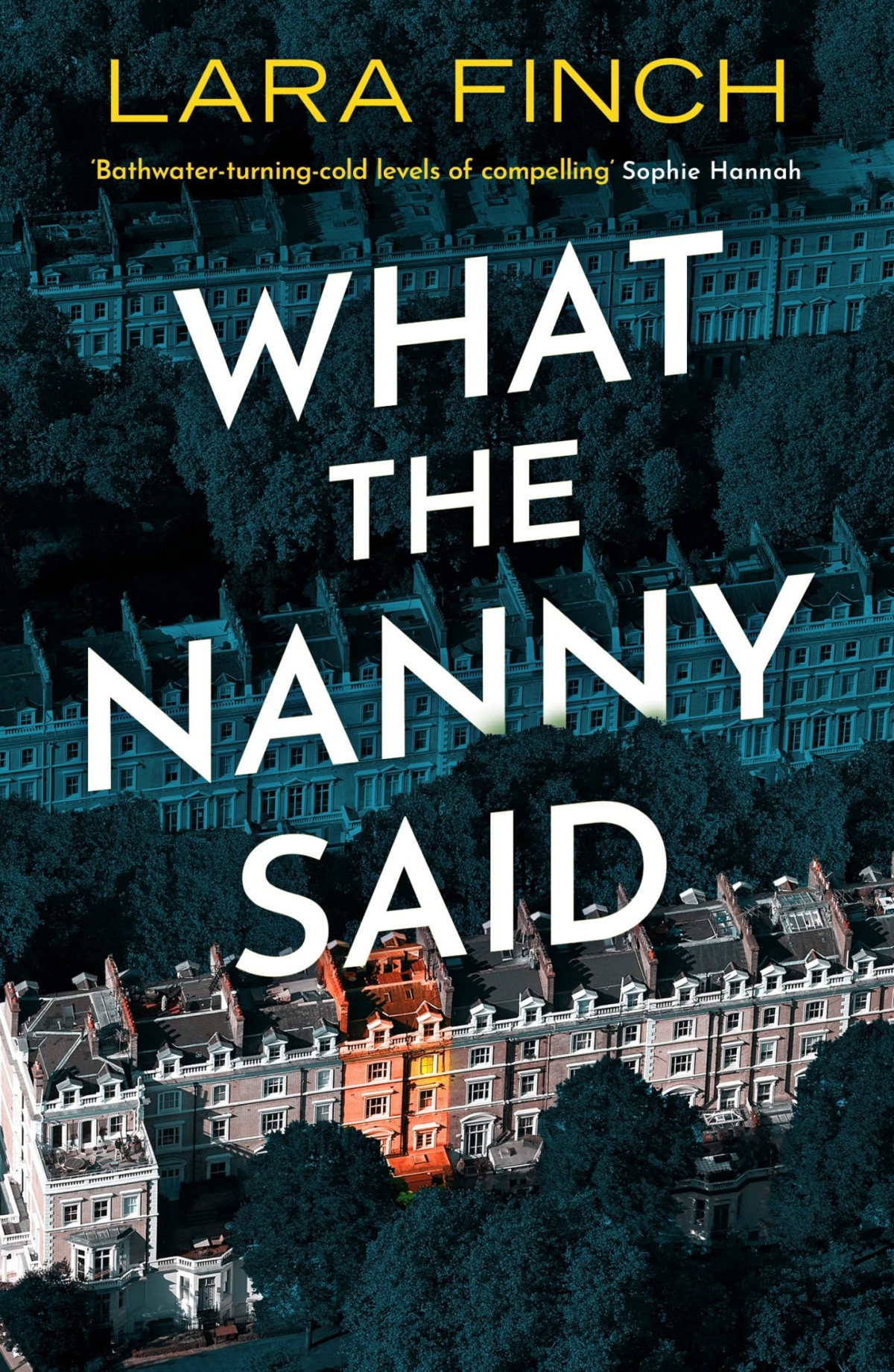 What The Nanny Said 1st Ebook Ed Lara Finch