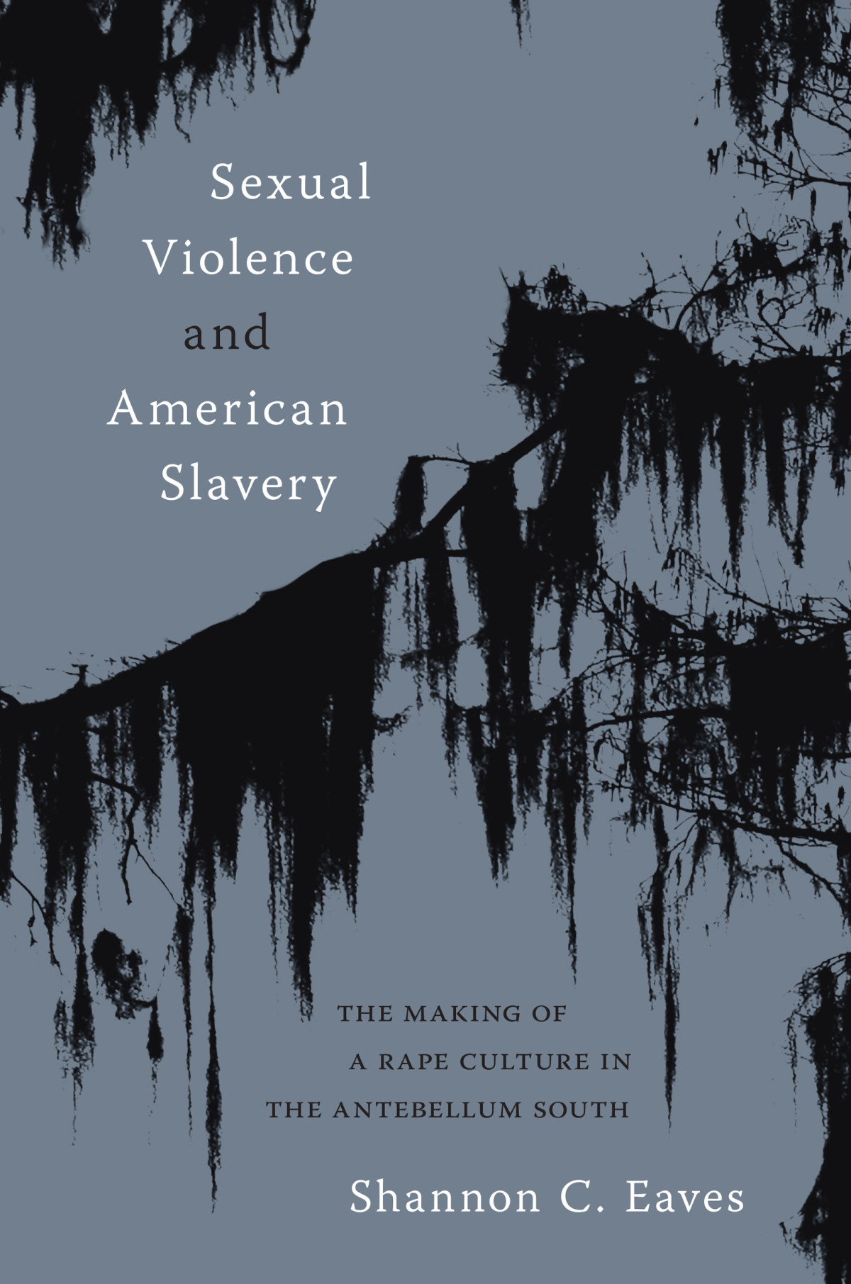 Sexual Violence And American Slavery The Making Of A Rape Culture In The Antebellum South Shannon Eaves