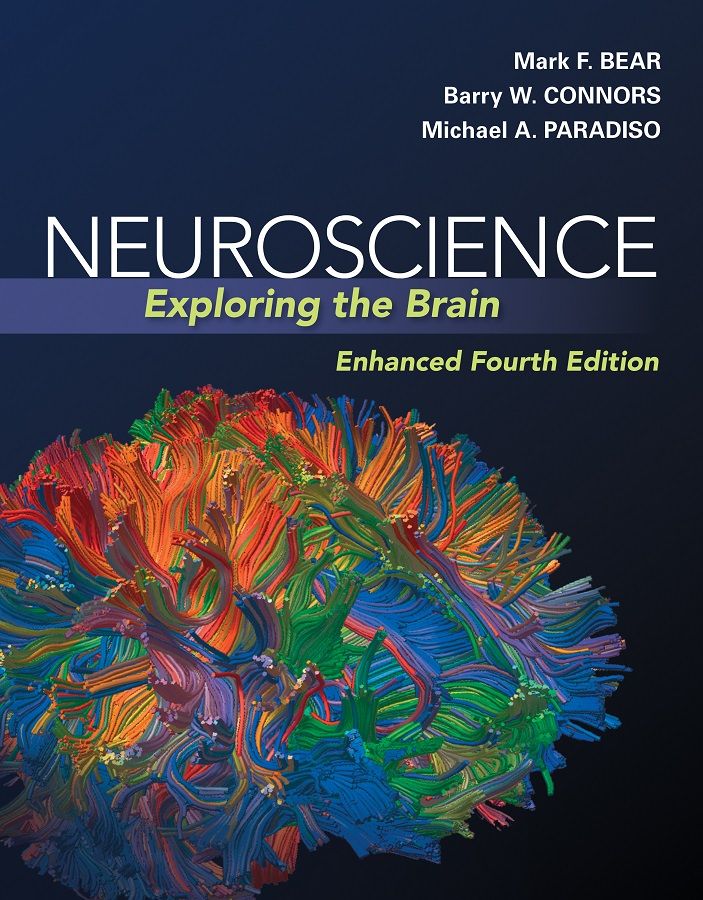 Neuroscience Exploring The Brain Enhanced Edition Mark Bear Barry Connors Michael A Paradiso