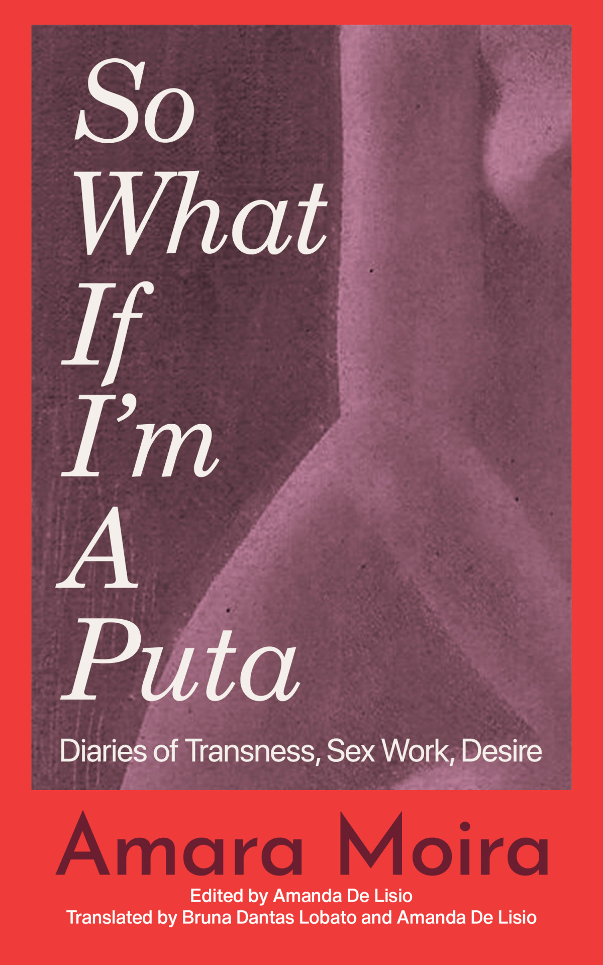 So What If Im A Puta Travesti Diaries Amara Moira Dantas Lobato Bruno