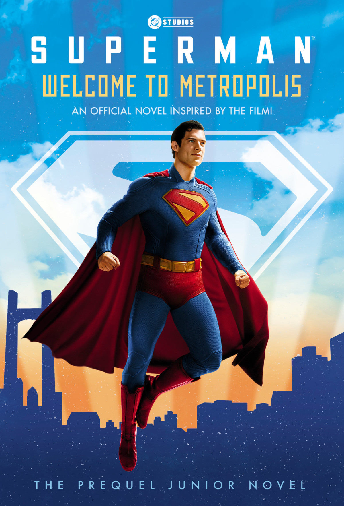 Superman Welcome To Metropolis David Lewman