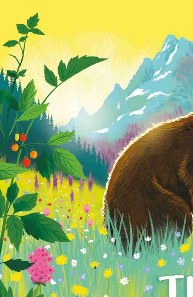 The Lost Bear Cub Holly Webb