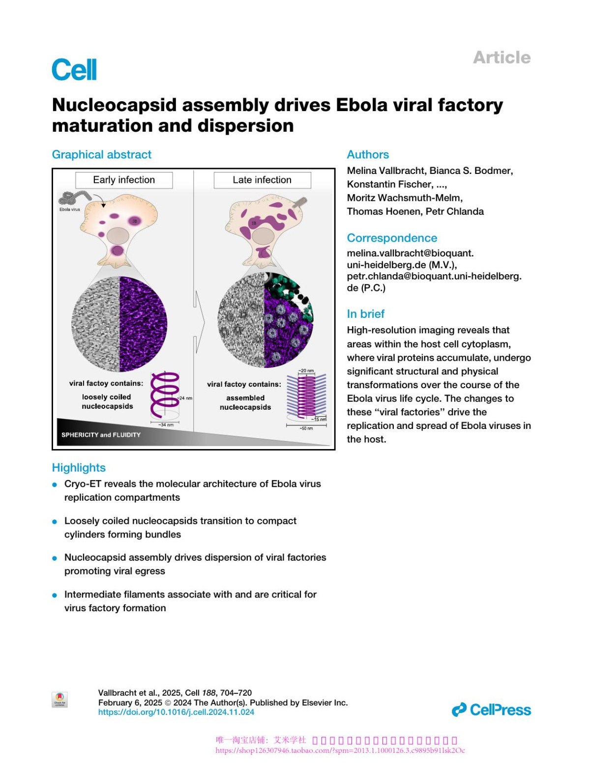 Nucleocapsid Assembly Drives Ebola Viral Factory Maturation And Dispersion Melina Vallbracht Bianca S Bodmer Konstantin Fischer Jana Makroczyova Sophie L Winter Lisa Wendt Moritz Wachsmuthmelm Thomas Hoenen Petr Chlanda