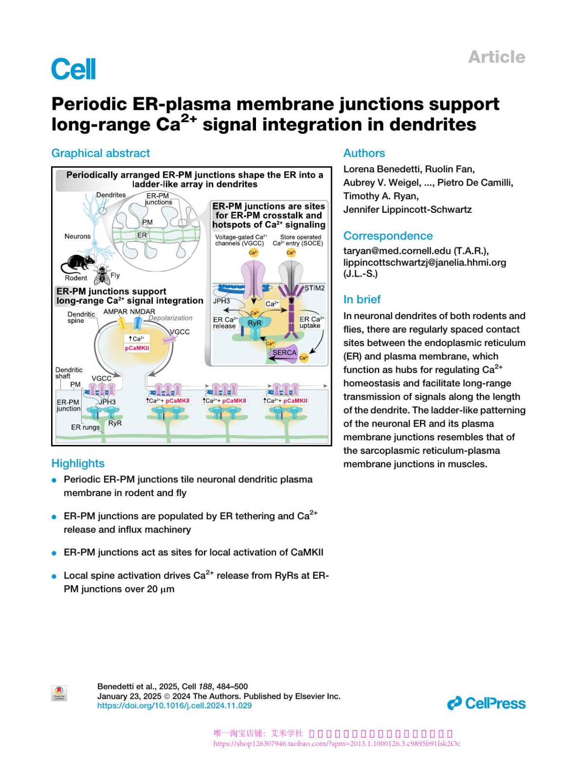Periodic Erplasma Membrane Junctions Support Longrange Ca2x002b Signal Integration In Dendrites Lorena Benedetti Ruolin Fan Aubrey V Weigel Andrew S Moore Patrick R Houlihan Mark Kittisopikul Grace Park Alyson Petruncio Philip M Hubbard Song Pang C Shan Xu Harald F Hess Stephan Saalfeld Vidhya Rangaraju David E