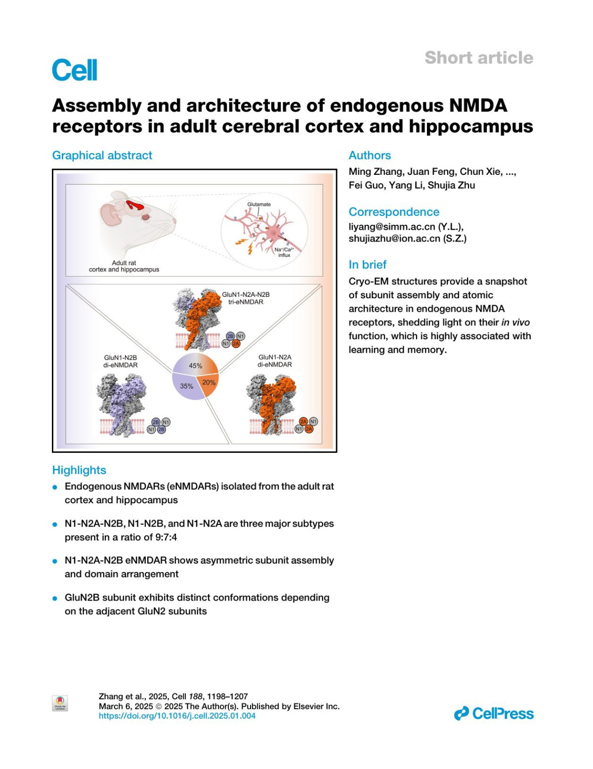 Assembly And Architecture Of Endogenous Nmda Receptors In Adult Cerebral Cortex And Hippocampus Ming Zhang Juan Feng Chun Xie Nan Song Chaozhi Jin Jian Wang Qun Zhao Lihua Zhang Boshuang Wang Yidi Sun Fei Guo Yang Li Shujia Zhu