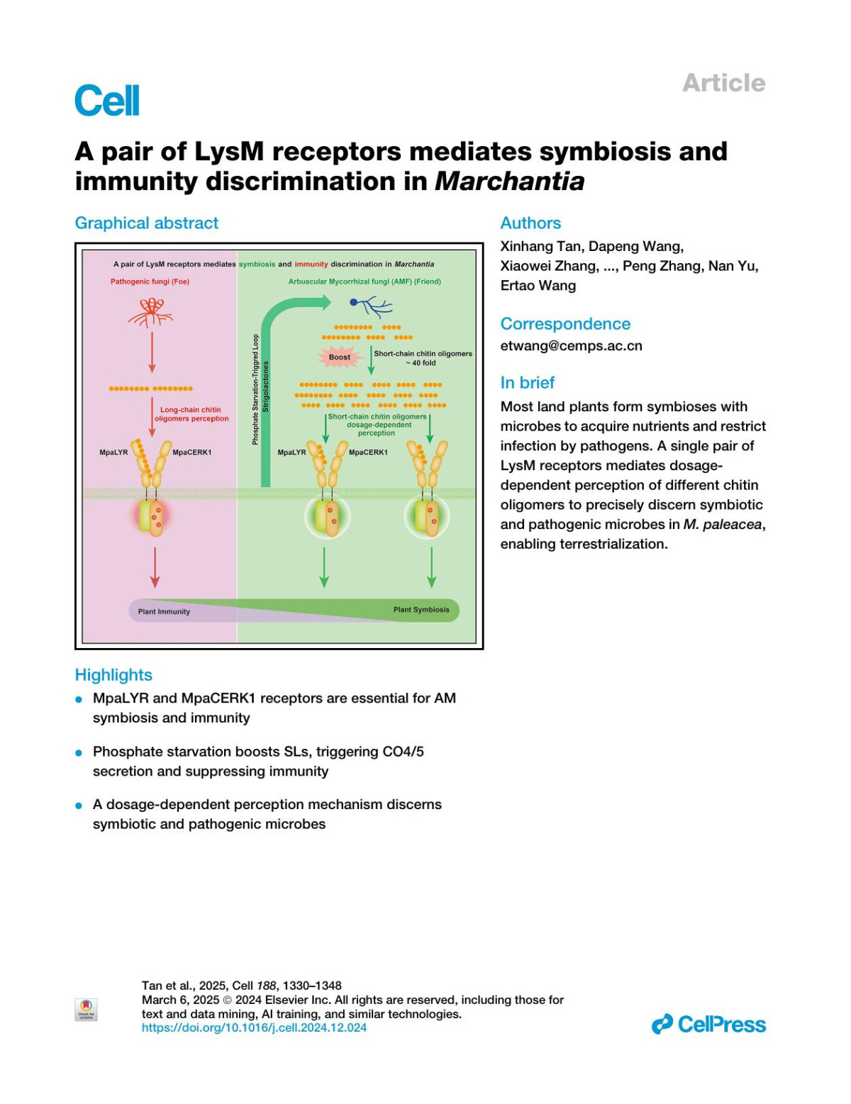 A Pair Of Lysm Receptors Mediates Symbiosis And Immunity Discrimination In Marchantia Xinhang Tan Dapeng Wang Xiaowei Zhang Shuang Zheng Xiaojie Jia Hui Liu Zilin Liu Hao Yang Huiling Dai Xi Chen Zhixin Qian Ran Wang Miaolian Ma Peng Zhang Nan Yu Ertao Wang