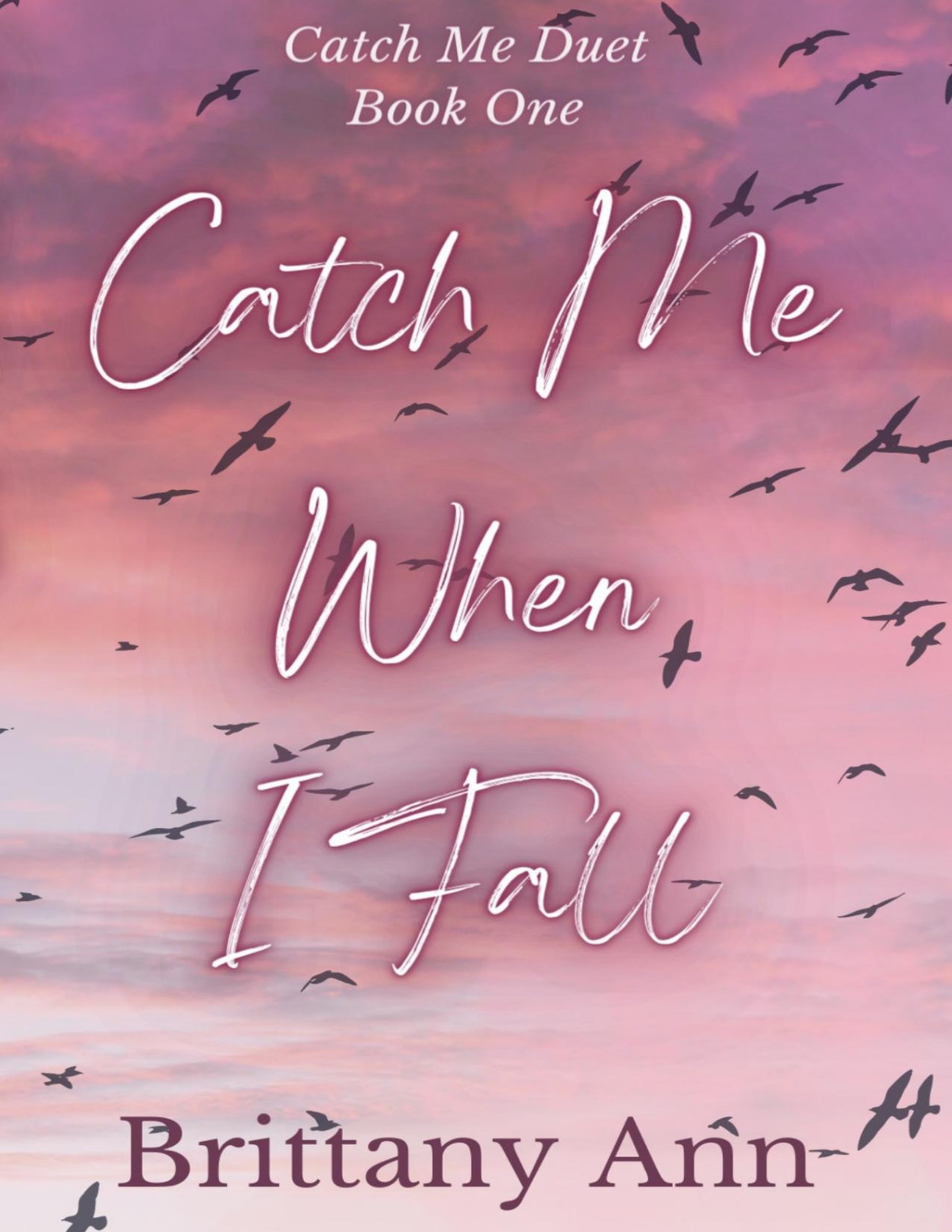 Catch Me When I Fall Catch Me Duet Book 1 Brittany Ann