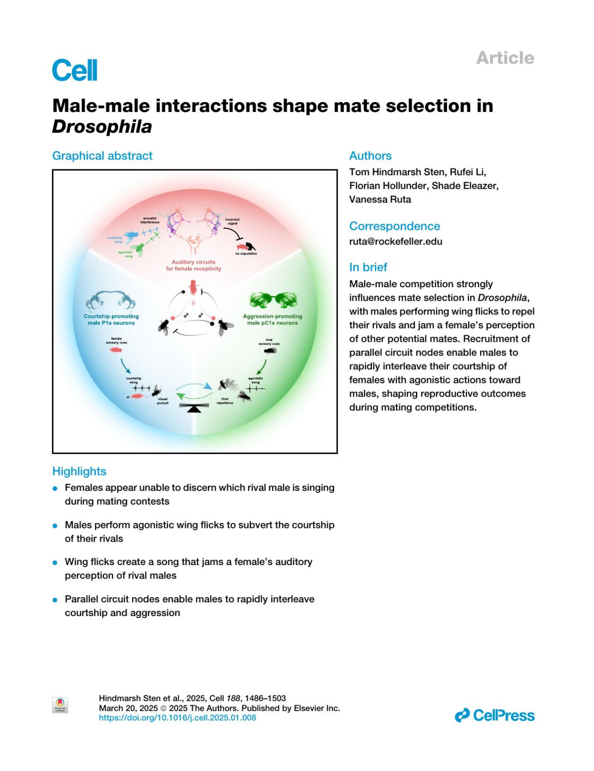 Malemale Interactions Shape Mate Selection In Drosophila Tom Hindmarsh Sten Rufei Li Florian Hollunder Shade Eleazer Vanessa Ruta