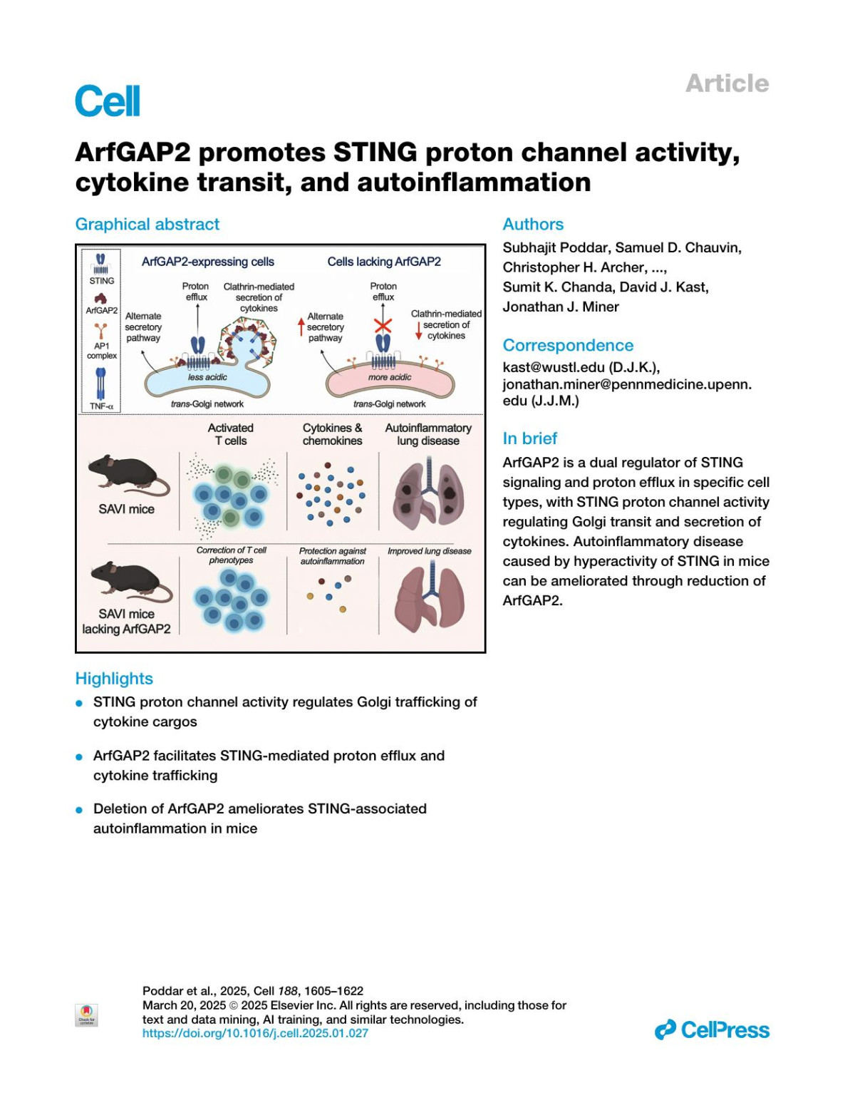 Arfgap2 Promotes Sting Proton Channel Activity Cytokine Transit And Autoinflammation Subhajit Poddar Samuel D Chauvin Christopher H Archer Wei Qian Jean A Castillobadillo Xin Yin W Miguel Disbennett Cathrine A Miner Joe A Holley Teresa V Naismith W Alexander Stinson Xiaochao Wei Yue Ning Jiayuan Fu